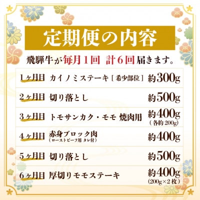 【毎月定期便】飛騨牛 少なめ定期便 計2.5kg【冷蔵便】全6回