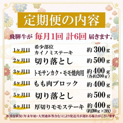 【毎月定期便】飛騨牛 少なめ定期便 計2.5kg 全6回コース