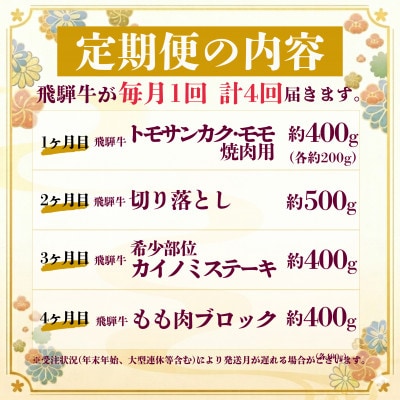 【毎月定期便】飛騨牛 定期便 計1.7kg 全4回