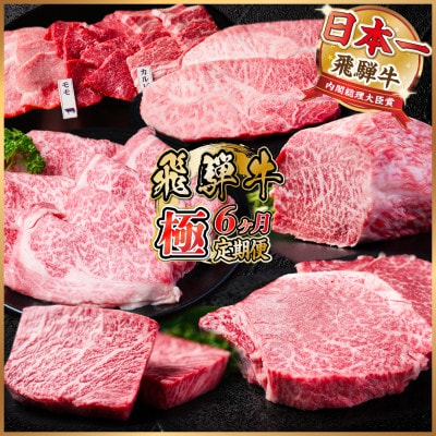 【毎月定期便】飛騨牛 極定期便 計3.4kg【冷蔵便】全6回