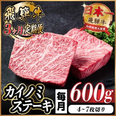 【毎月定期便】飛騨牛 カイノミステーキ定期便 毎月600g全3回