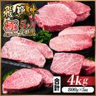 【毎月定期便】飛騨牛 極ステーキ定期便　計約4kg【冷蔵便】全5回　A4～A5等級　黒毛和牛