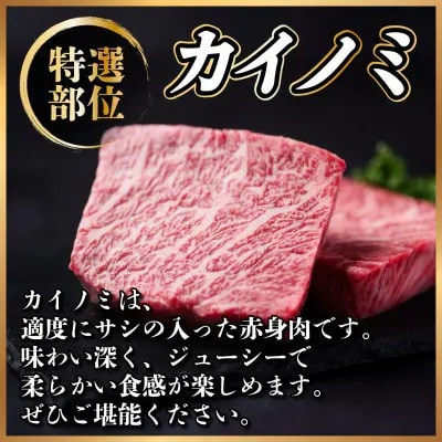 【毎月定期便】飛騨牛 カイノミステーキ定期便 毎月1kg全12回