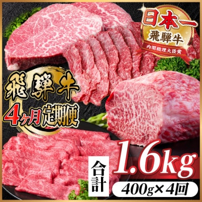 【毎月定期便】飛騨牛 赤身定期便 計1.6kg 焼肉 BBQ すき焼き しゃぶしゃぶ ブロック全4回