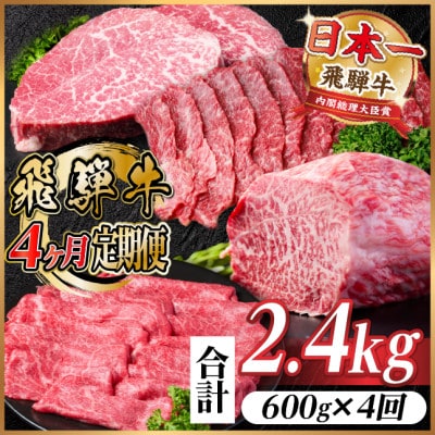 【毎月定期便】飛騨牛 赤身定期便 計2.4kg 焼肉 BBQ すき焼き しゃぶしゃぶ ブロック全4回