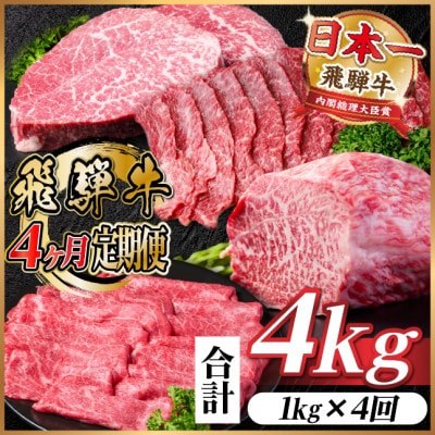 【毎月定期便】飛騨牛 赤身定期便 計4kg 焼肉 BBQ すき焼き しゃぶしゃぶ ブロック全4回