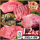 【毎月定期便】飛騨牛 赤身定期便 計1.2kg 焼肉 BBQ すき焼き しゃぶしゃぶ ブロック全4回