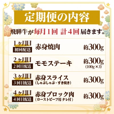 【毎月定期便】飛騨牛 赤身定期便 計1.2kg 焼肉 BBQ すき焼き しゃぶしゃぶ ブロック全4回