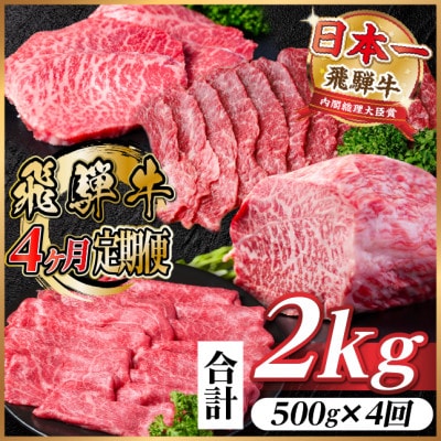 【毎月定期便】飛騨牛 赤身定期便 計2kg 焼肉 BBQ すき焼き しゃぶしゃぶ ブロック全4回