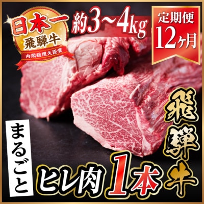 【毎月定期便】飛騨牛 ヒレ1本(約3～4kg)【シャトーブリアン&ヒレ】A4～A5 ステーキ全12回