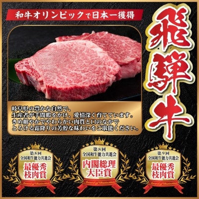 【2ヵ月毎定期便】飛騨牛 ヒレ1本(約3～4kg)【シャトーブリアン&ヒレ】A4～A5黒毛和牛全4回