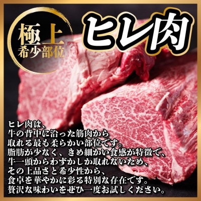 【2ヵ月毎定期便】飛騨牛 ヒレ1本(約4～5kg)【シャトーブリアン&ヒレ】A4～A5黒毛和牛全4回