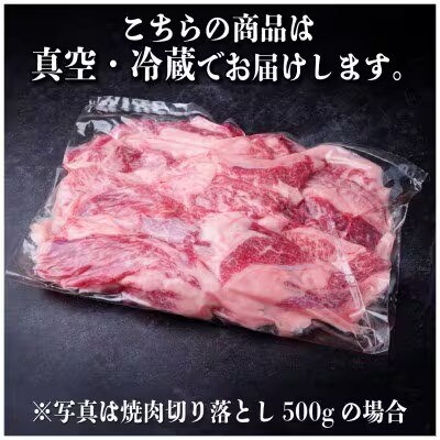 【2ヵ月毎定期便】飛騨牛 焼肉切り落とし 約600g(約300g×2)タレ付き 訳あり全3回