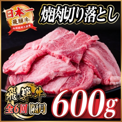 【2ヵ月毎定期便】飛騨牛 焼肉切り落とし 約600g(約300g×2)タレ付き 訳あり全6回