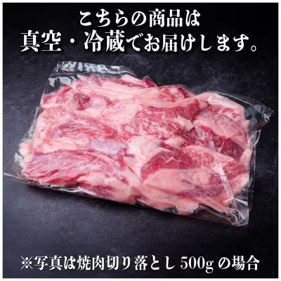【2ヵ月毎定期便】飛騨牛 焼肉切り落とし 約1kg(約500g×2)タレ付き 訳あり全3回