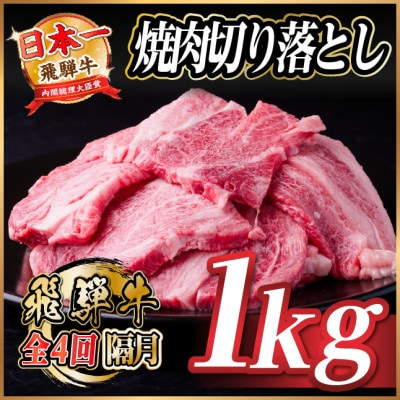 【2ヵ月毎定期便】飛騨牛 焼肉切り落とし 約1kg(約500g×2)タレ付き 訳あり全4回
