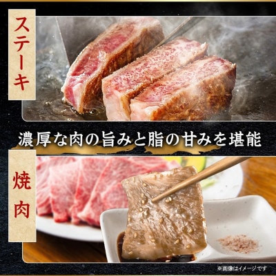 【発送月固定定期便】飛騨牛 赤身定期便 計3.4kg ヒレ モモ ブロック 赤身スライス 冷蔵全4回