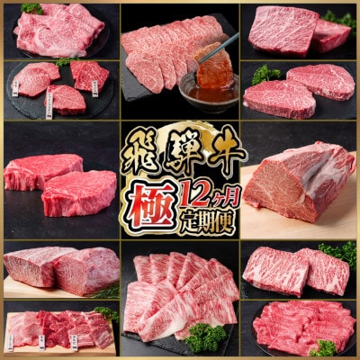 【発送月固定定期便】飛騨牛 極定期便 計5.95kg【冷蔵便】シャトーブリアン・ヒレ焼肉他全12回
