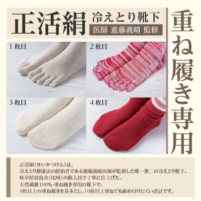 正活絹 冷えとり靴下 基本シルク・コットン4組セットE(Lサイズ)