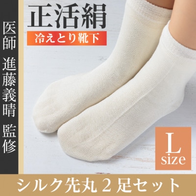 正活絹 冷えとり靴下 シルク先丸 2足セット(Lサイズ)