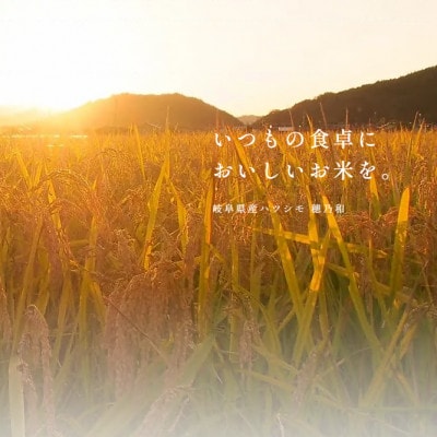 【先行予約】令和7年産　岐阜県産ハツシモ(精米)5kg