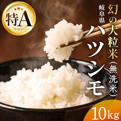 令和7年産　岐阜県産ハツシモ(無洗米)10kg　国産 米