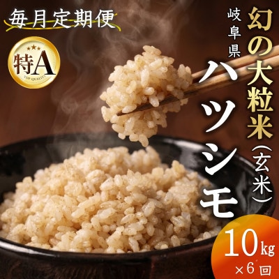 【毎月定期便】岐阜県産ハツシモ(玄米)10kg全6回