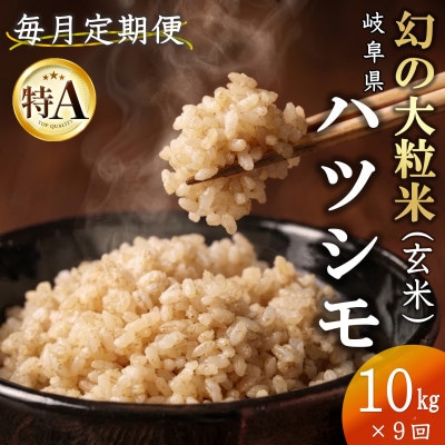 【毎月定期便】岐阜県産ハツシモ(玄米)10kg全9回