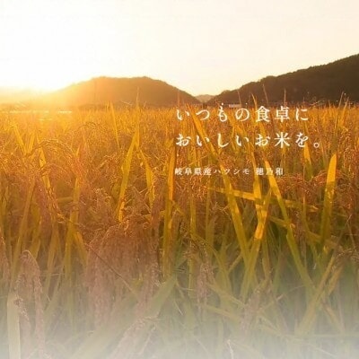 【発送月固定定期便】【先行予約】岐阜県産ハツシモ(精米)10kg全2回