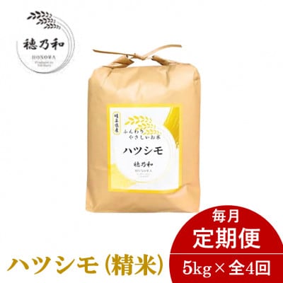 【発送月固定定期便】【先行予約】岐阜県産ハツシモ(精米)5kg全4回
