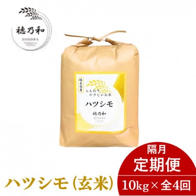 【発送月固定定期便】【先行予約】岐阜県産ハツシモ(玄米)10kg【隔月定期便】全4回