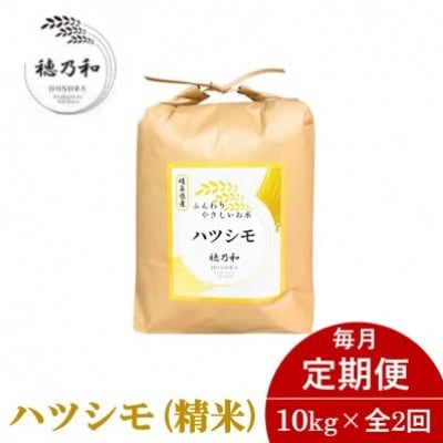 【発送月固定定期便】【先行予約】岐阜県産ハツシモ(精米)10kg全2回