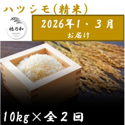 【発送月固定定期便】【先行予約】岐阜県産ハツシモ(精米)10kg【1・3月発送】【隔月定期便】全2回