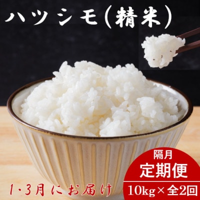 【発送月固定定期便】生産者応援!岐阜県産ハツシモ精米10kg【1・3月発送】【隔月定期便】全2回