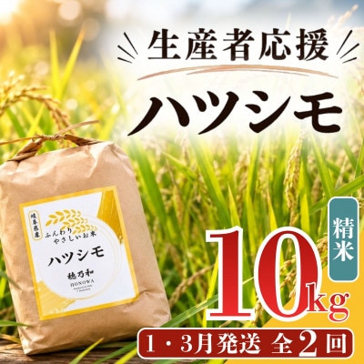 【発送月固定定期便】【先行予約】生産者応援!岐阜県産ハツシモ(精米)10kg【1・3月発送】全2回