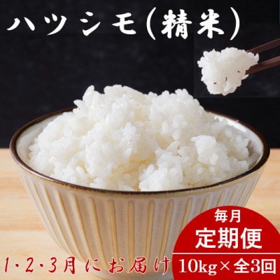 【発送月固定定期便】生産者応援!岐阜県産ハツシモ(精米)10kg【1・2・3月発送】全3回