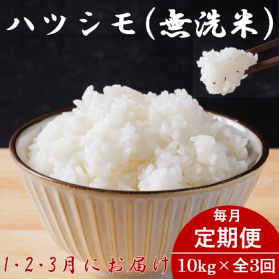 【発送月固定定期便】生産者応援!岐阜県産ハツシモ(無洗米)10kg【1・2・3月発送】全3回