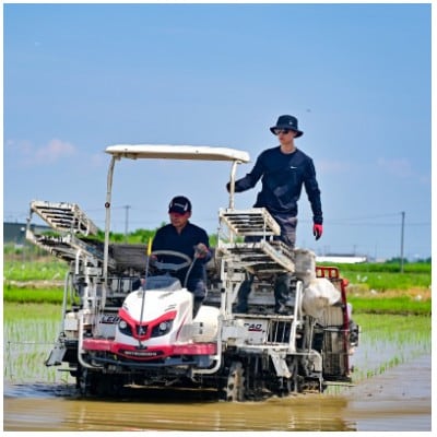 【発送月固定定期便】【先行予約】岐阜県産ハツシモ(無洗米)10kg【1・2・3月発送】全3回