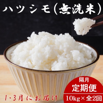 【発送月固定定期便】生産者応援!岐阜県産ハツシモ無洗米10kg【1・3月】【隔月定期便】全2回