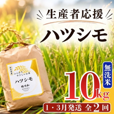 【発送月固定定期便】【先行予約】生産者応援!岐阜県産ハツシモ無洗米10kg【1・3月】全2回