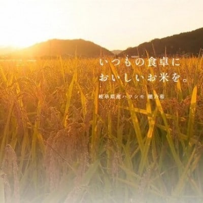 【発送月固定定期便】【先行予約】岐阜県産ハツシモ(無洗米)10kg【1・3月】【隔月定期便】全2回