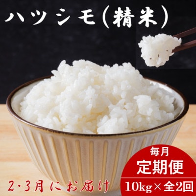 【発送月固定定期便】【先行予約】岐阜県産ハツシモ(精米)10kg【2・3月発送】全2回