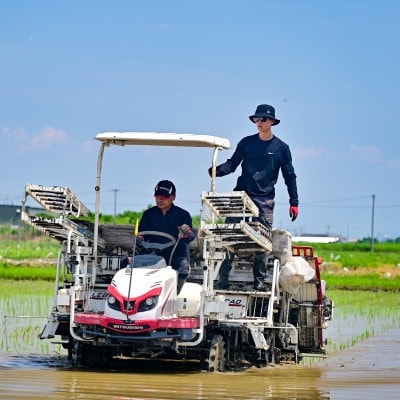 【発送月固定定期便】【先行予約】岐阜県産ハツシモ(精米)10kg【2・3月発送】全2回