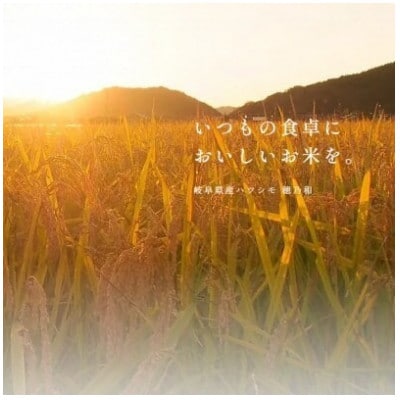 【発送月固定定期便】【先行予約】岐阜県産ハツシモ(無洗米)10kg【2・3月】全2回
