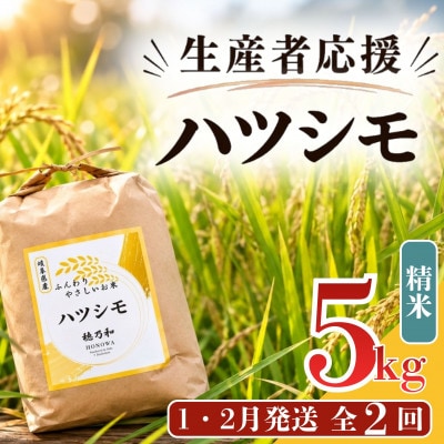 【発送月固定定期便】【先行予約】生産者応援!岐阜県産ハツシモ(精米)5kg【1・2月発送】全2回