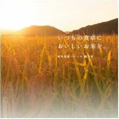 【発送月固定定期便】【先行予約】岐阜県産ハツシモ(精米)5kg【1・2月発送】全2回