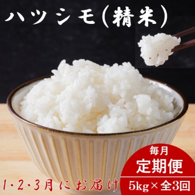 【発送月固定定期便】生産者応援!岐阜県産ハツシモ(精米)5kg【1・2・3月発送】全3回