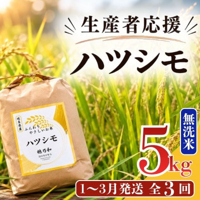 【発送月固定定期便】【先行予約】生産者応援!岐阜県産ハツシモ(無洗米)5kg【1～3月発送】全3回