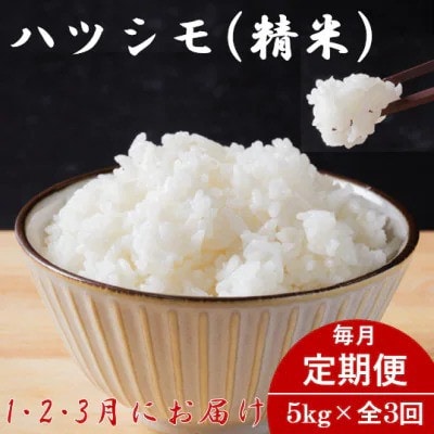 【発送月固定定期便】生産者応援!岐阜県産ハツシモ(精米)5kg【1・2・3月発送】全3回