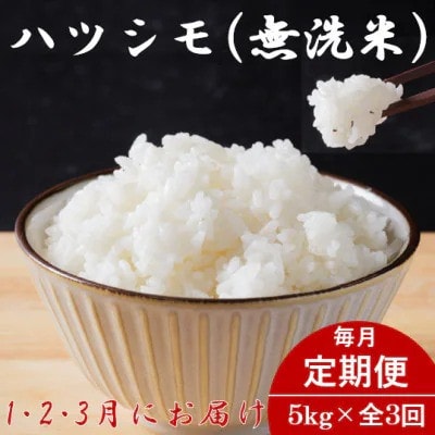 【発送月固定定期便】生産者応援!岐阜県産ハツシモ(無洗米)5kg【1・2・3月発送】全3回
